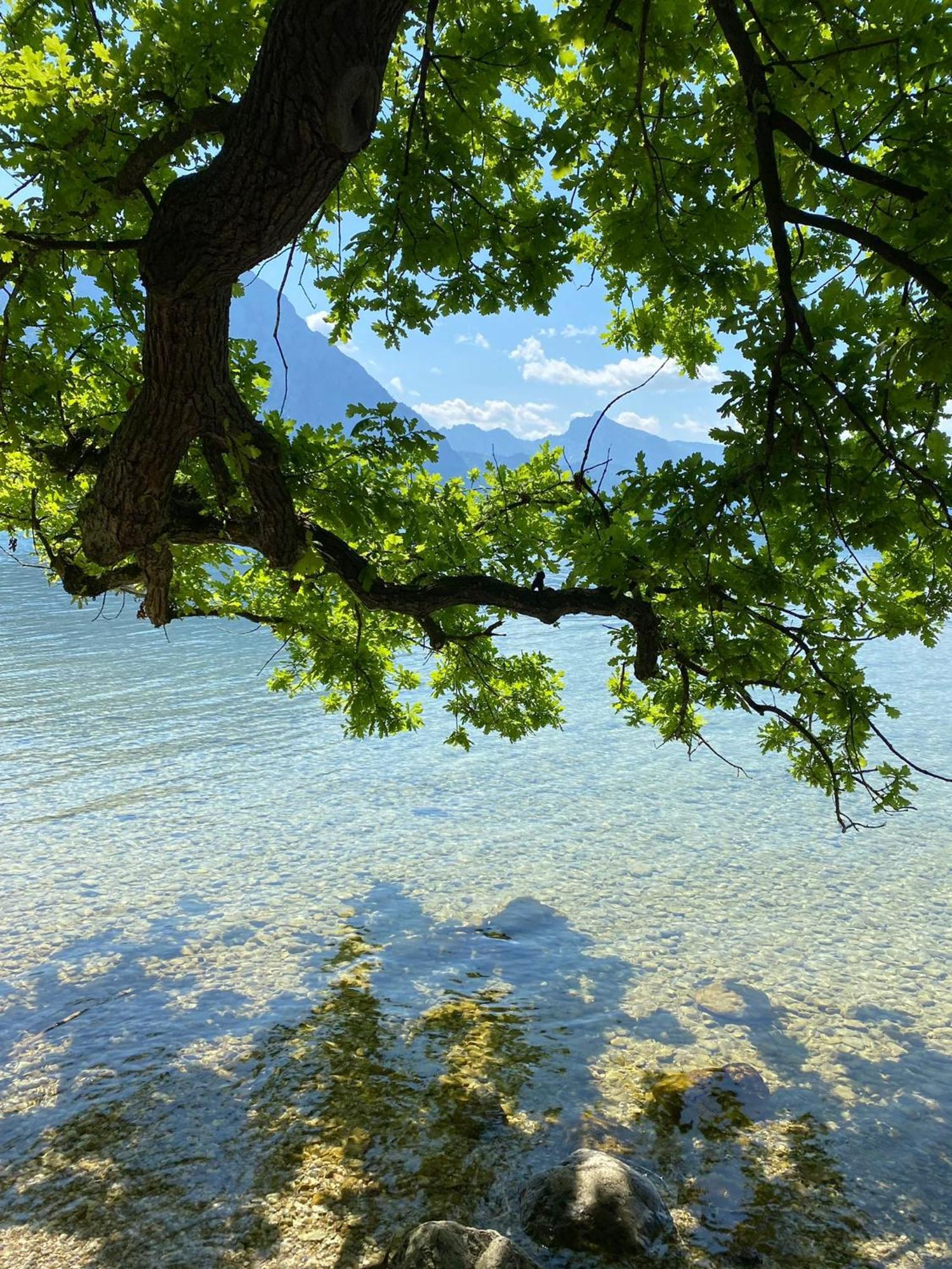 Seepanorama An Der Esplanade 2 * Gmunden